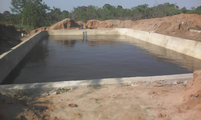 Concrete Fish Pond