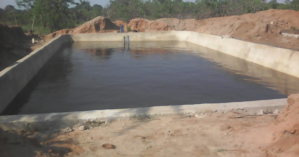 AMISODAGO CONSULTANCY FIRM Construction of the durable concrete pond.