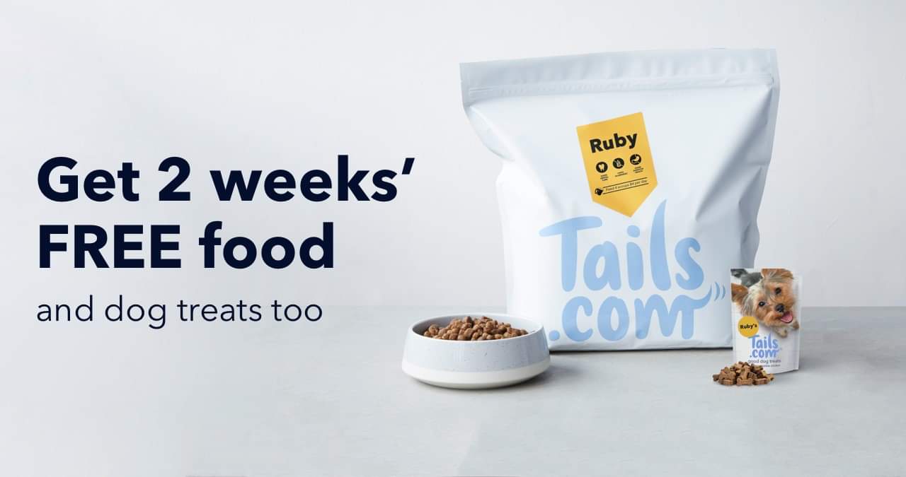 ABOUT "DOG🐕 FOOD COMPANY"