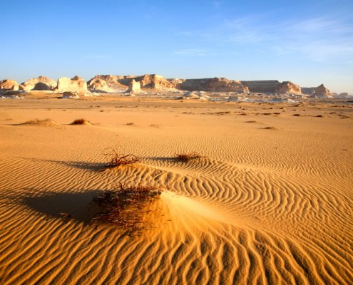 western desert