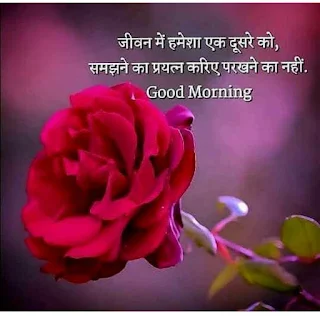 Good Morning Good Morning