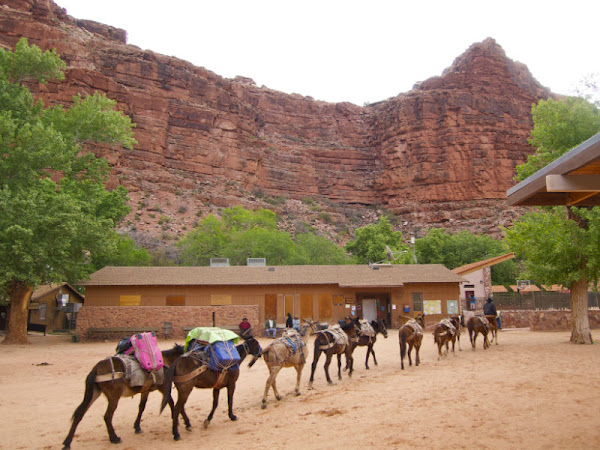 أغرب 10 مكاتب بريد على الكرة الأرضية