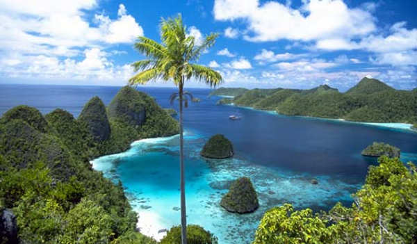 Cenderawasih Bay National Park (Taman Nasional Teluk Cenderawasih