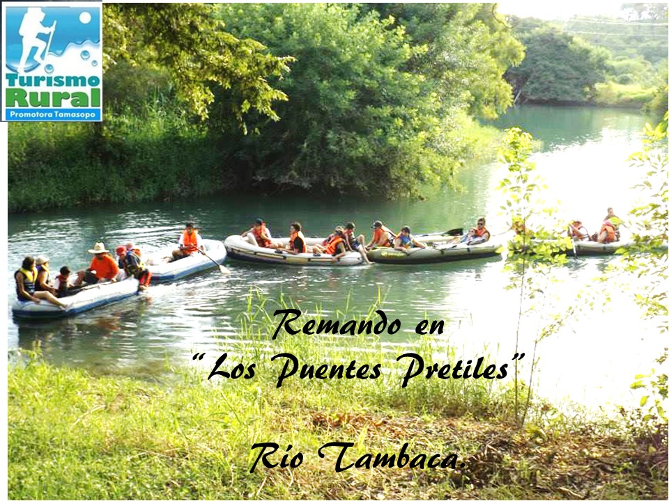 TAMASOPO, SAN LUIS POTOSÍ. CAMINO DE TIERRA DE TAMPICO A SAN LUIS POTOSÍ