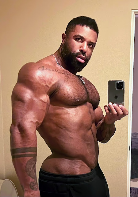 Sexy Male Bodybuilder - The Big Hard Muscles