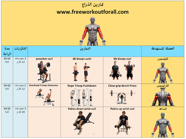 جدول تمارين كمال الاجسام 6 ايام