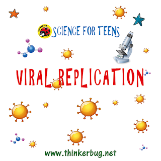 Virus Replication