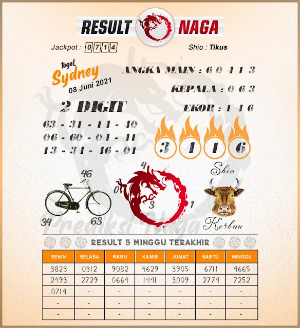 result naga