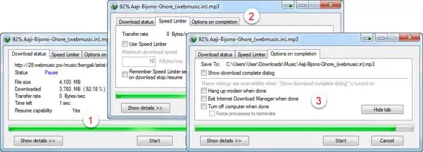 Internet Download Manager Internet Download Manager