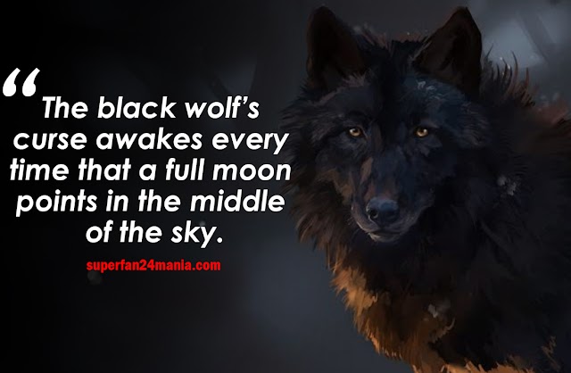 22 Best Wolf Quotes That Will Help you to Show Your True Character.