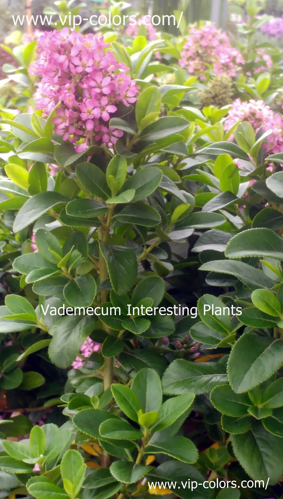 Land Of The Big Sky A Multicoloured Blog