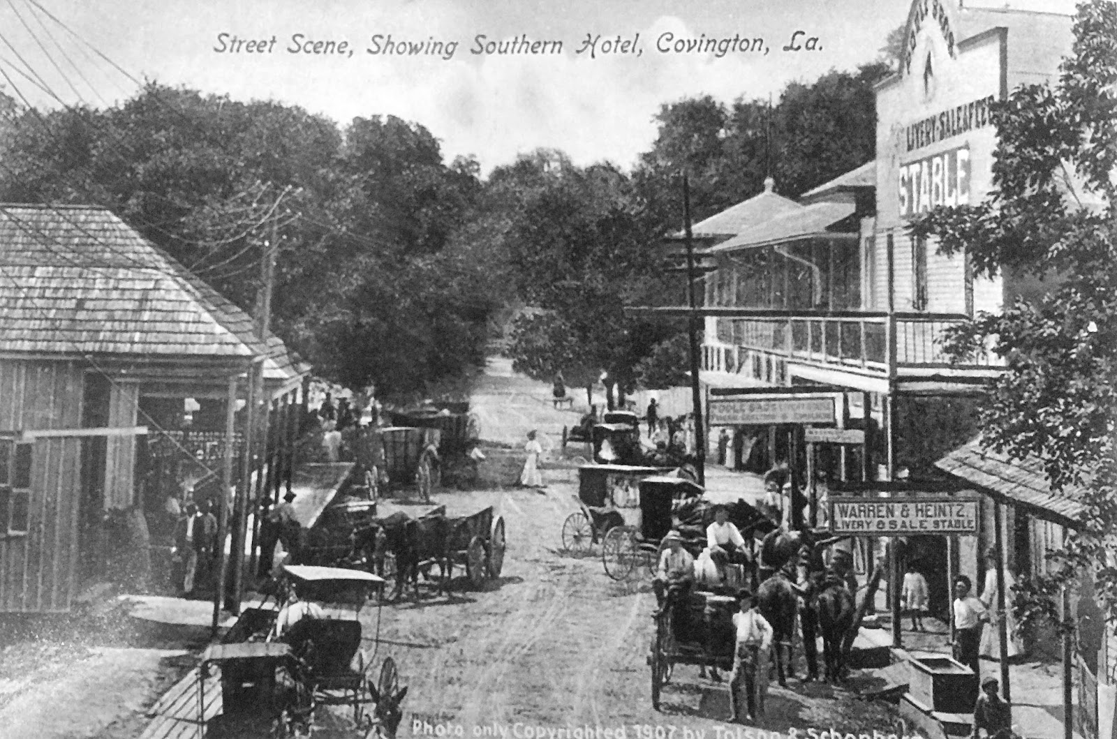 St Tammany Restaurants St Tammany Restaurants