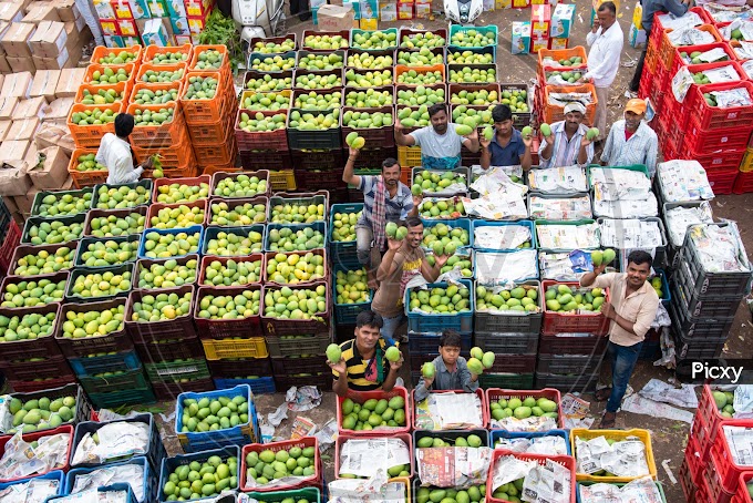 కోహెడ నుంచి బాటసింగారానికి ఫ్రూట్ మార్కెట్ 