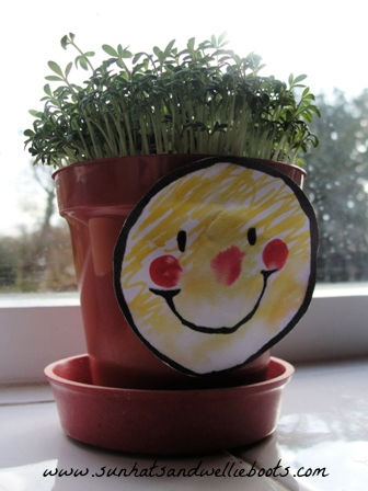 Growing Cress Heads - Messy Little Monster