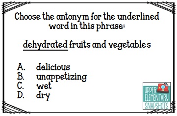 upper elementary snapshots test taking strategies synonyms and synonym and antonym