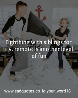 Brother and sister quotes and status Brother and sister quotes and status