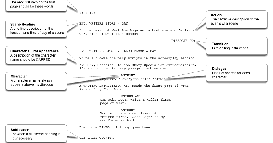 Immigration essays samples image