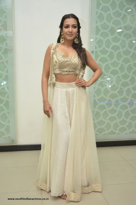 Catherine Tresa at Gautham Nanda success meet