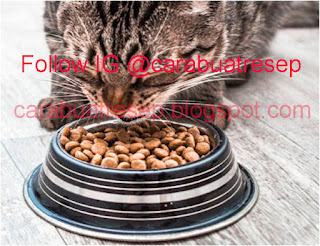 Foto Resep Makanan Kucing Kering Tanpa Oven Agar Cpat Gemuk Sederhana Spesial Asli Enak