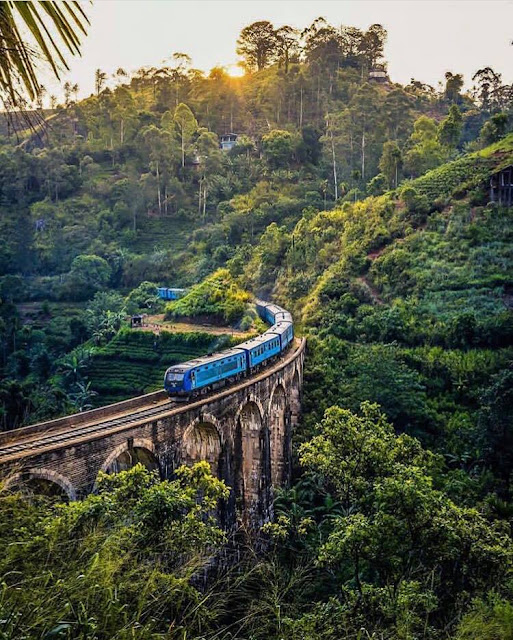 පෙදරේරු අප්පුහාමිගේ - ආරුක්කු 9යේ පාලම 🌉🚇 (Nine Arch Bridge) - Your Choice Way