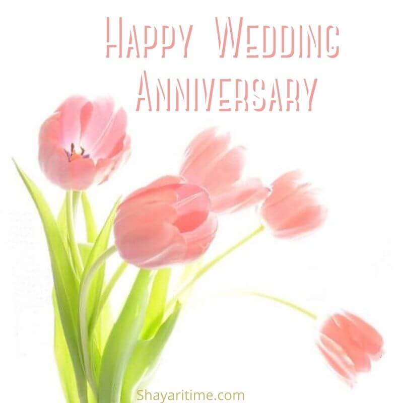 wedding anniversary wishes