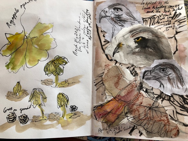 Bringing the Outdoors In . . . In to my Sketch Journal, that is. . .