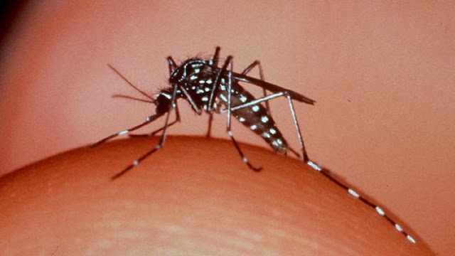 RN tem segundo maior número de casos prováveis de dengue