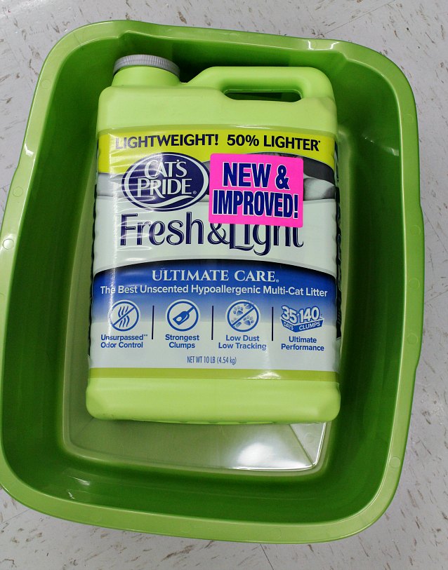 How You and The Litter For Good Program Can Help Save Shelter Cats