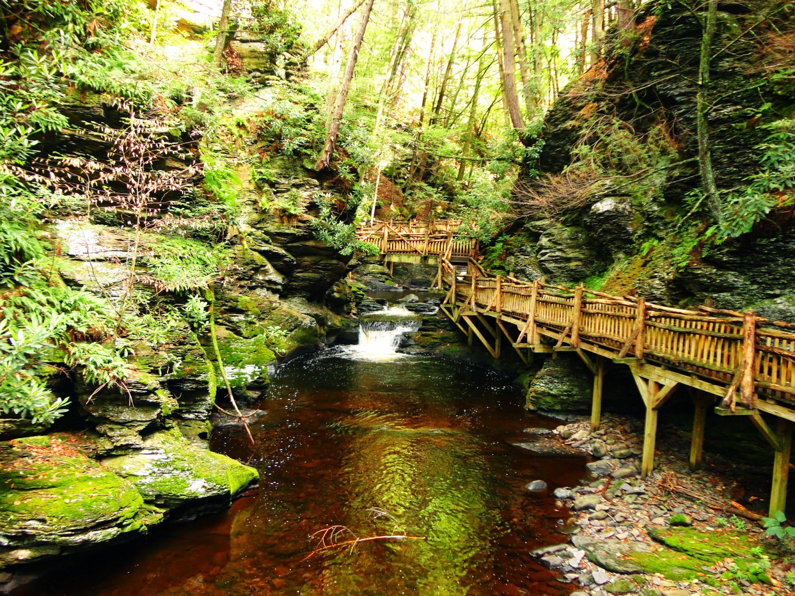 Bushkill Falls Trail Hike- Bushkill, PA