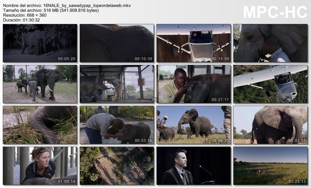 Naledi: A Baby Elephant's Tale [2016] [DVDRip] [Subtitulada]