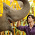 JUNGLEE: टीजर के पहले ही सामने आया एक और पोस्टर...
