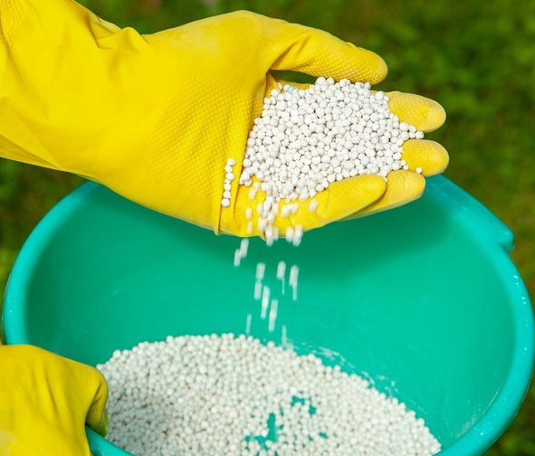 24 family members confirmed dead due to food poison from fertilizer