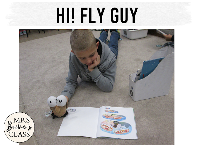 Our class LOVES Fly Guy! Here are some fun Fly Guy book study companion activities to go with the books by Tedd Arnold. Perfect for whole class guided reading, small groups, or individual study packs. Packed with lots of fun literacy ideas and standards based guided reading activities. Common Core aligned. Grades 1-2 #bookstudies #bookstudy #novelstudy #1stgrade #2ndgrade #literacy #guidedreading #flyguy