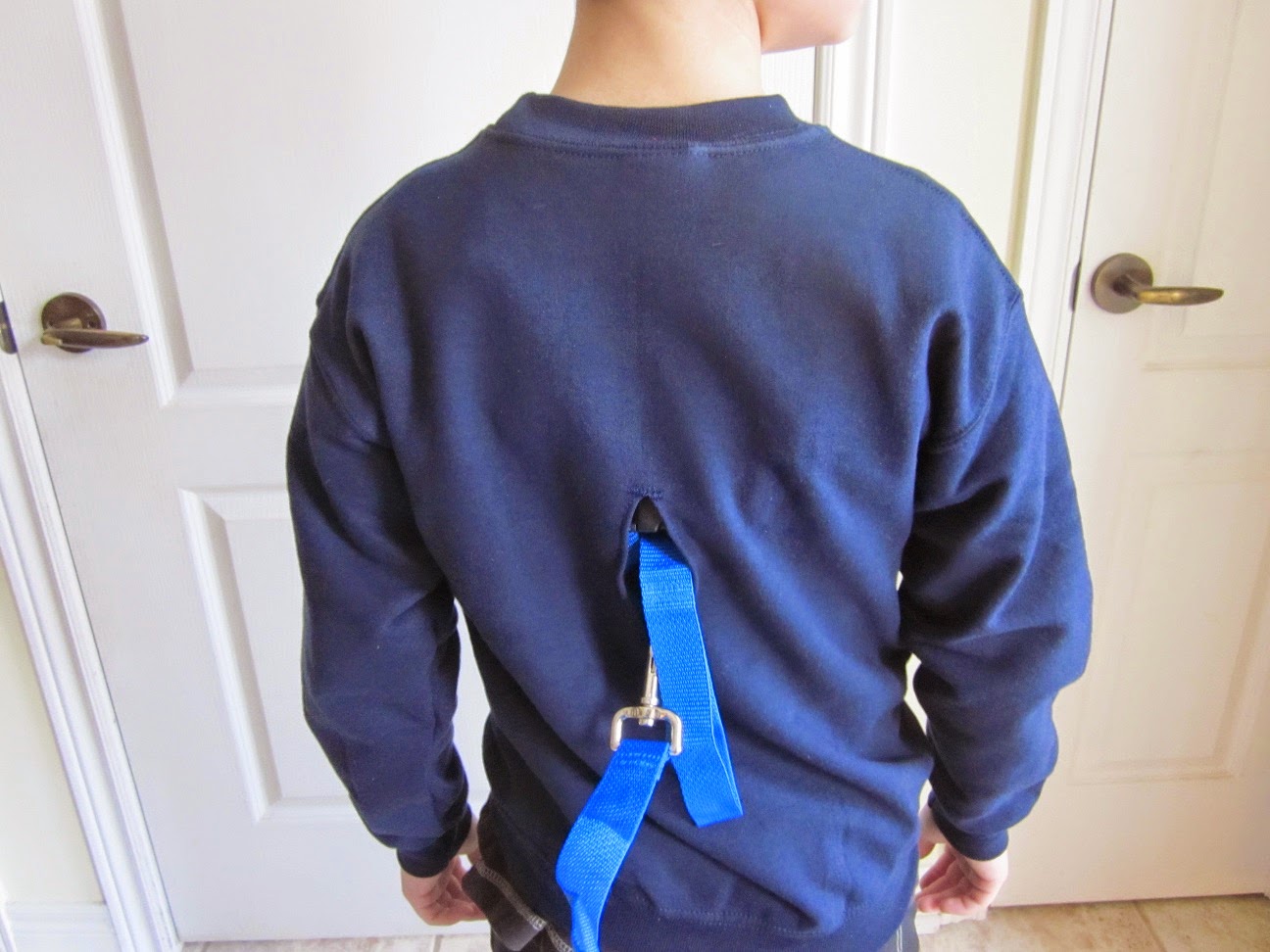 Adult Safety Harness 64
