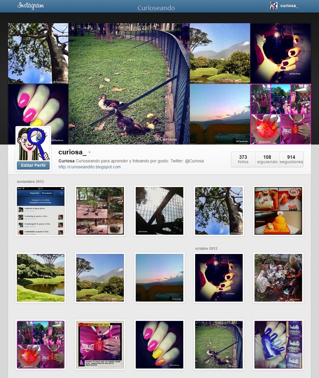 Llegaron las p\u00e1ginas web a Instagram ~ Curioseando