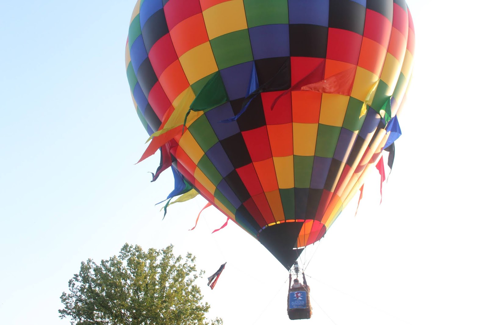 Berry Dakara DISCOVER Helen Hot Air Balloon Festival
