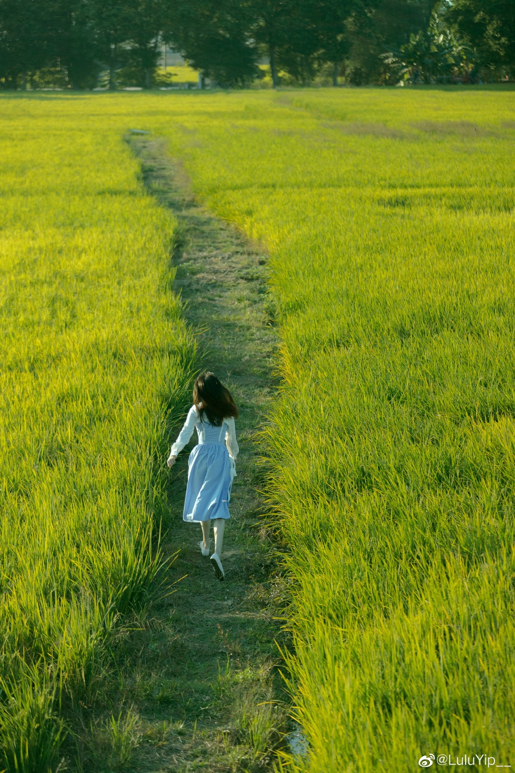 Gallery - Chinese model - countryside girl - Photographer 藏弓U - P5