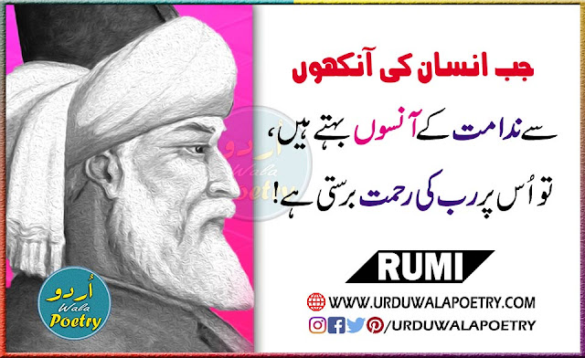 Maulana Rumi Quotes Human Eyes Urdu, Allah Blessings Quotes, Quotes on Tears in English