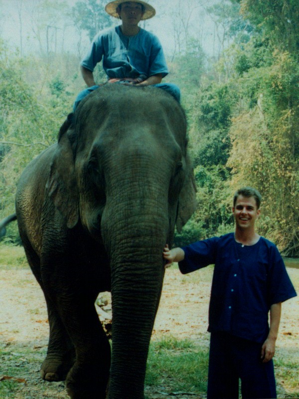 Rules of the Jungle Finding a Really Big Elephant