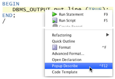 PL/SQL 101: Why can't I display a Boolean value with DBMS_OUTPUT.PUT_LINE?