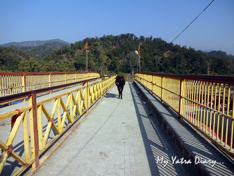 Ancient ShaktiPeetha of Jim Corbett, Ramnagar Girija Devi Temple