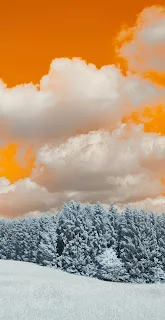 خلفية حقل مغطى بالثلوج مع الأشجار تحت سماء مغطاة بالغيوم ، خلفيات طبيعة 4K