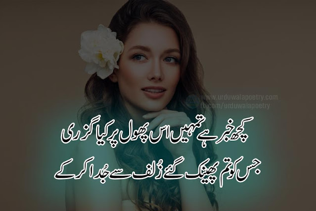 Top-10-Best-Zulf-Poetry-Urdu-Hair-Poetry-Julfe-Shayari hair-shayari-in-hindi