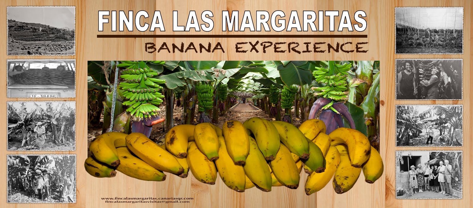 .FINCA LAS MARGARITAS, Banana Experience