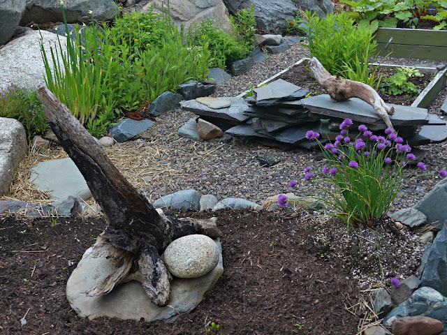 Large driftwood pieces and selected large rocks are placed around the garden to add interest.