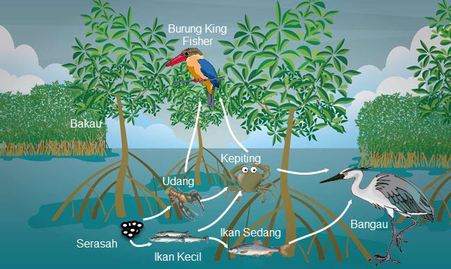 Pembelajaran 1 Tema 5 Subtema 3 Keseimbangan Ekosistem | Mikirbae.com