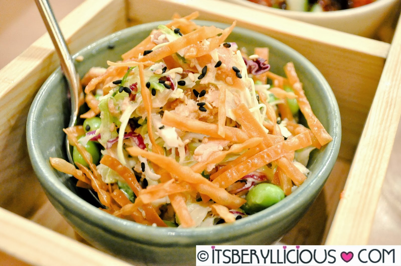 Yabu's New Dishes Oroshi Katsu, Chicken Salad, Mochi Ice Cream