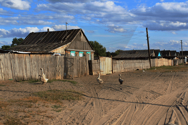 Опустевшие дома рома в Чемодановке/Лопатках, 15 июня 2019 г. © автор неизвестен, взято из vk-сообщества «Пенза live»