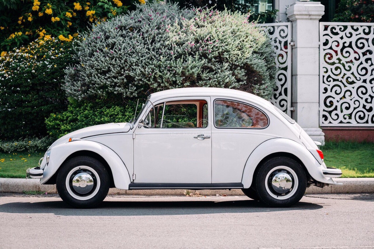 Volkswagen Beetle  Con bọ có sức sống mãnh liệt