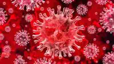 All Facts About novel Corona Virus